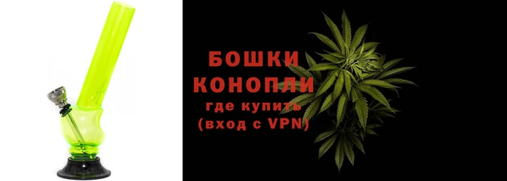 PSILOCYBIN Баксан