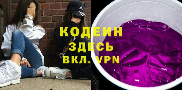 индика Кукмор