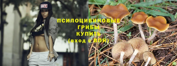 PSILOCYBIN Баксан