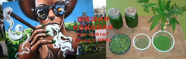 PSILOCYBIN Баксан