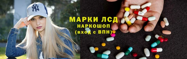 PSILOCYBIN Баксан