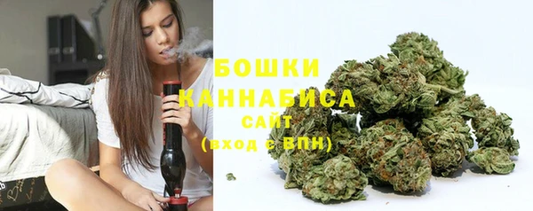 стаф Кулебаки