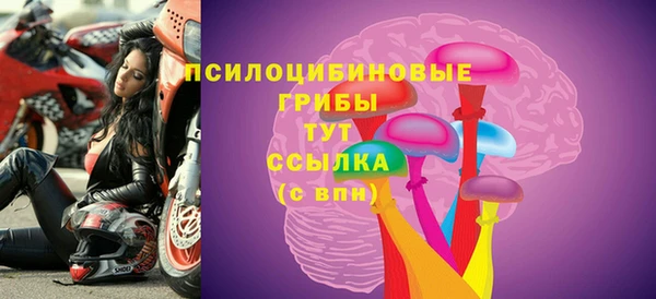PSILOCYBIN Баксан