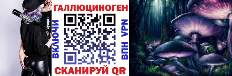 Галлюциногенные грибы мухоморы  дарнет шоп  Курильск 